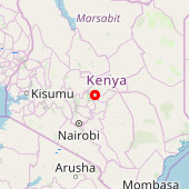 Mount Kenya Forest