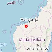 Mangabe