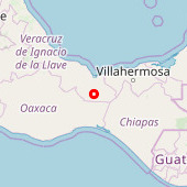 Vidal Díaz Muñoz