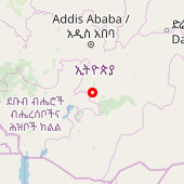 Wendo Genet Bota