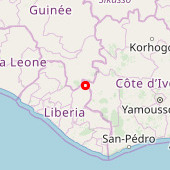 East Nimba Forest Reserve