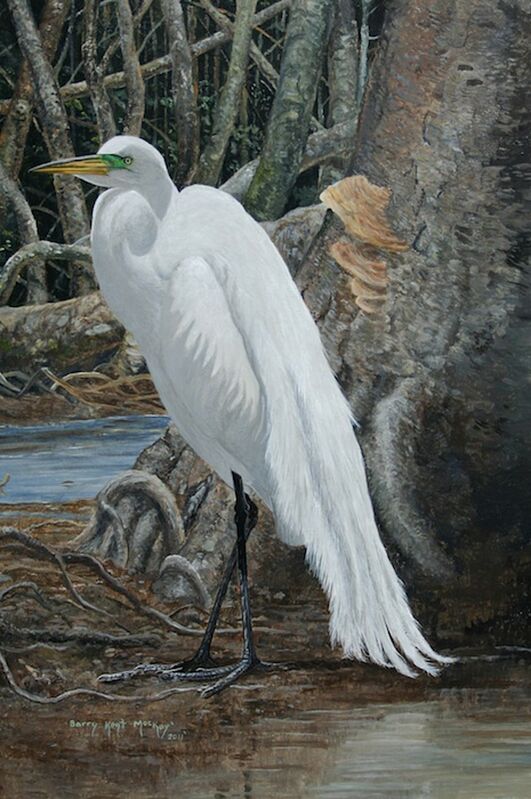 Great Egret