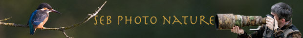 www.sebphotonature.com